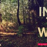 GED @ ... the re:publica 2014 Foto eines Waldes. Darauf steht geschrieben: Into The Wild und das Logo der Republik