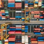 chuttersnap-255216-unsplash_bear