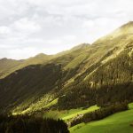 GED at the European Forum Alpbach 2019 Alpbach Mountain Village