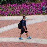 coronavirus mask coronavirus mask