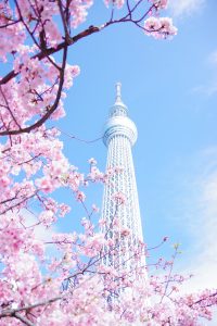 tokyo