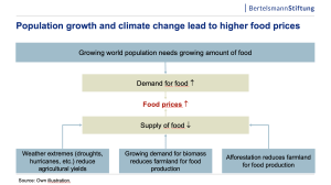 Chart: foot prices increase