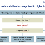 Chart: foot prices increase