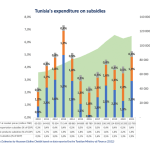Tunisia_s_expenditure