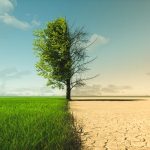 AdobeStock_455801976_KONZERN_ST-W.jpeg