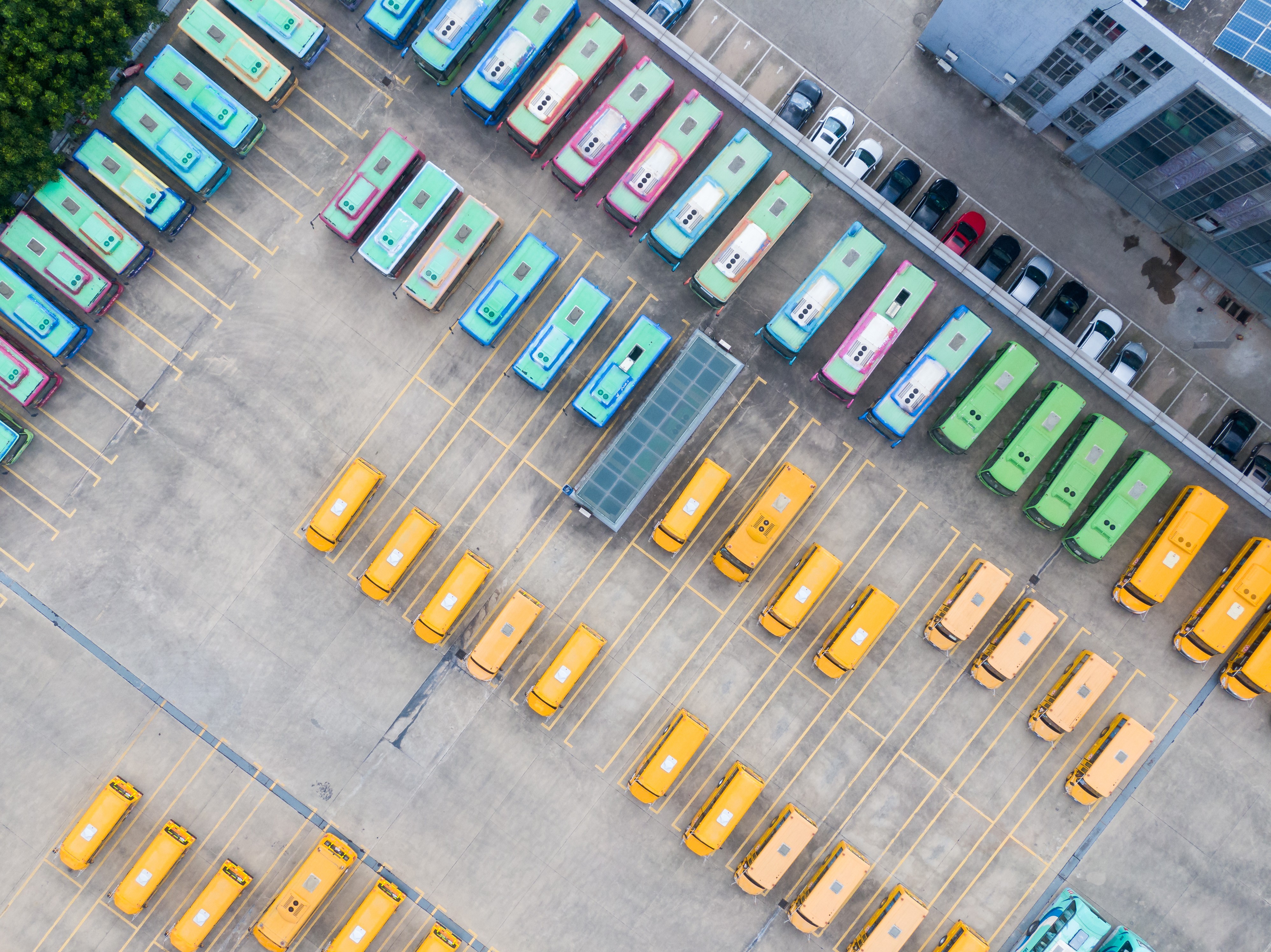 Cutting Red Tape, Preserving Standards: Rethinking the EU’s Omnibus Agenda