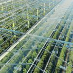 Incubating Integration in the 28th Regime with Regulatory Pilots Green plantations shot through the transparent ceiling. Greenhouses aerial view, epic view on industrial glasshouse.