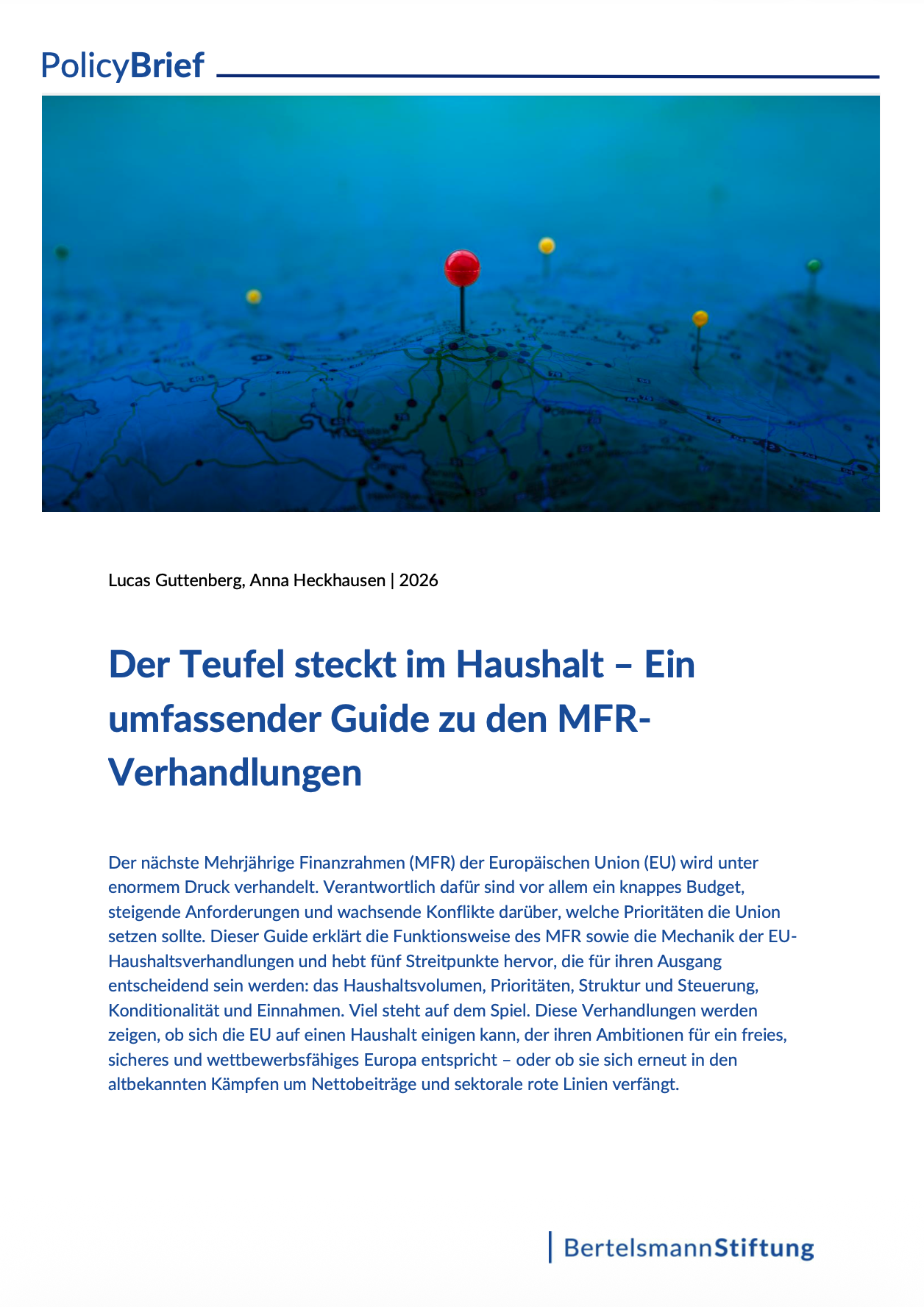 Policy Brief Preview 2